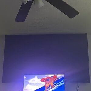 75 inch Roku tv for sale, it just needs the LED lights replaced.